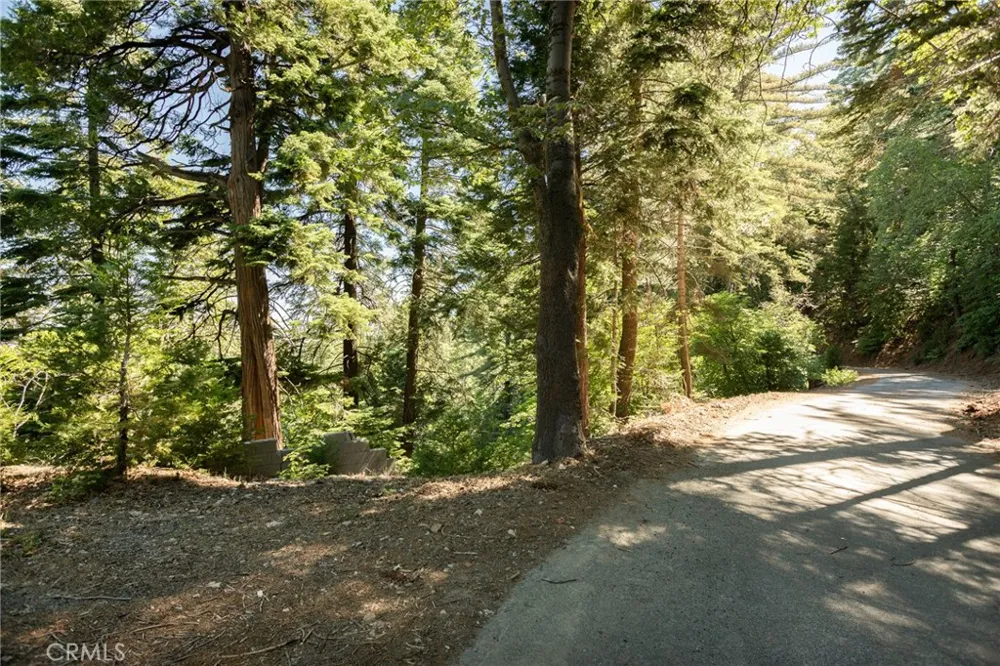 746 Blue Ridge Drive Lake Arrowhead, CA 92385