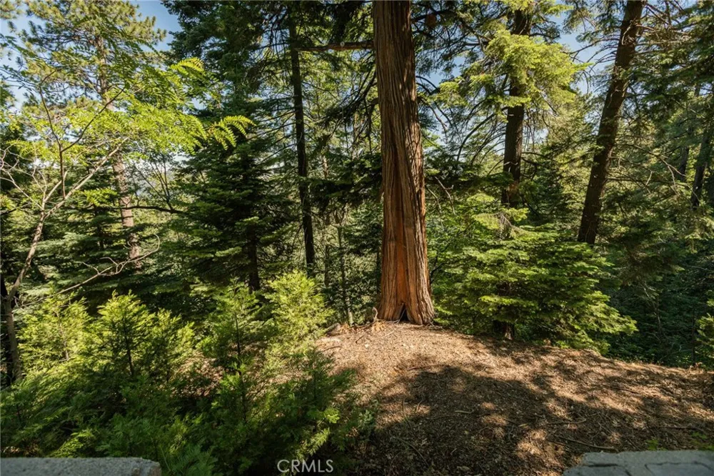 746 Blue Ridge Drive Lake Arrowhead, CA 92385