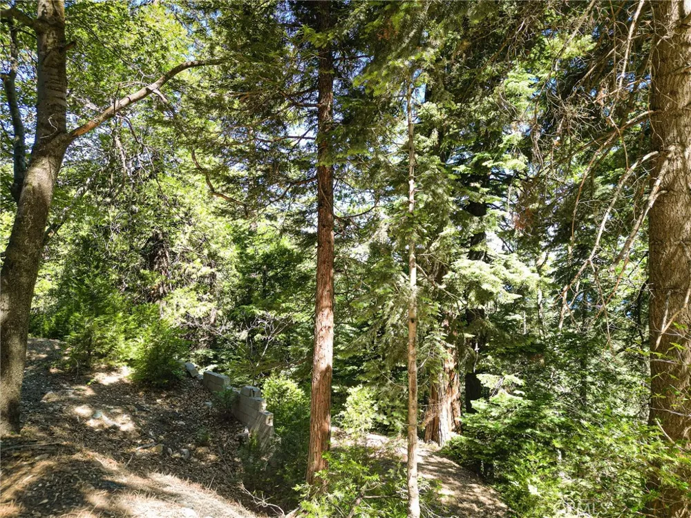 746 Blue Ridge Drive Lake Arrowhead, CA 92385