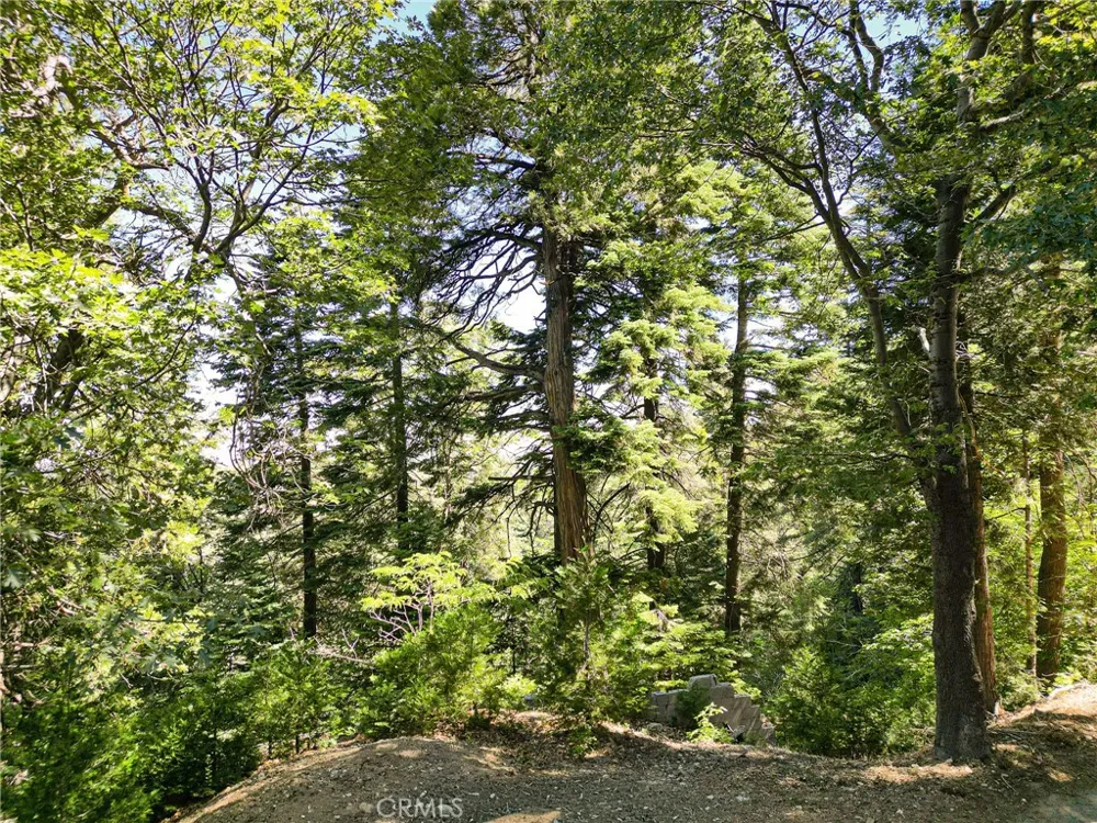746 Blue Ridge Drive Lake Arrowhead, CA 92385