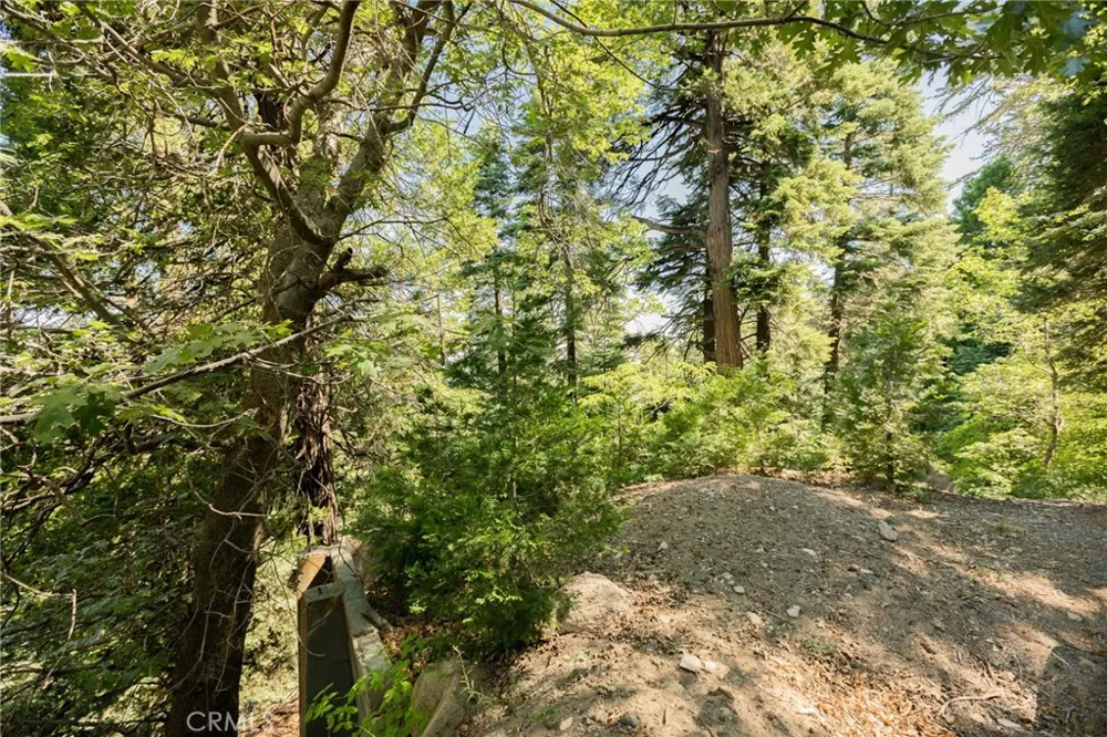 746 Blue Ridge Drive Lake Arrowhead, CA 92385