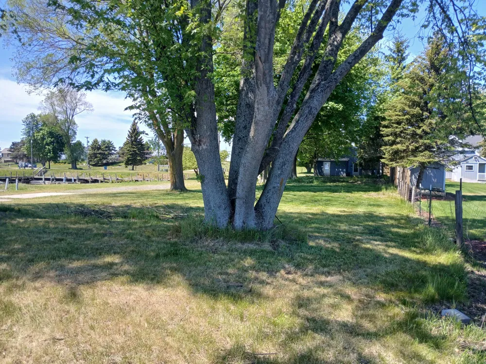 846 S Lakeshore Drive #Parcel ''A'' Ludington, MI 49431