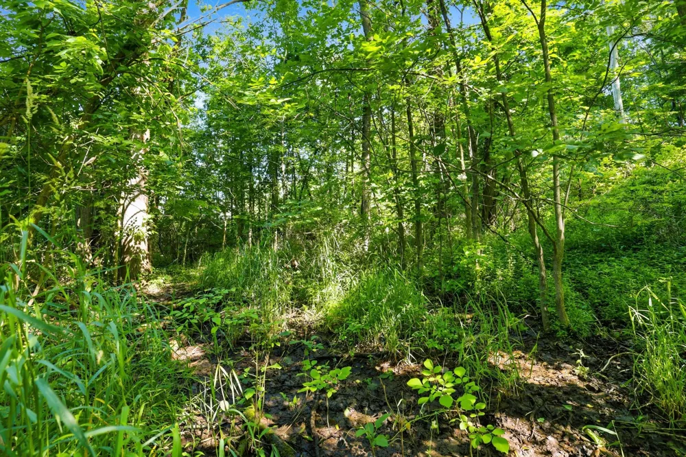 40th Avenue Hudsonville, MI 49426