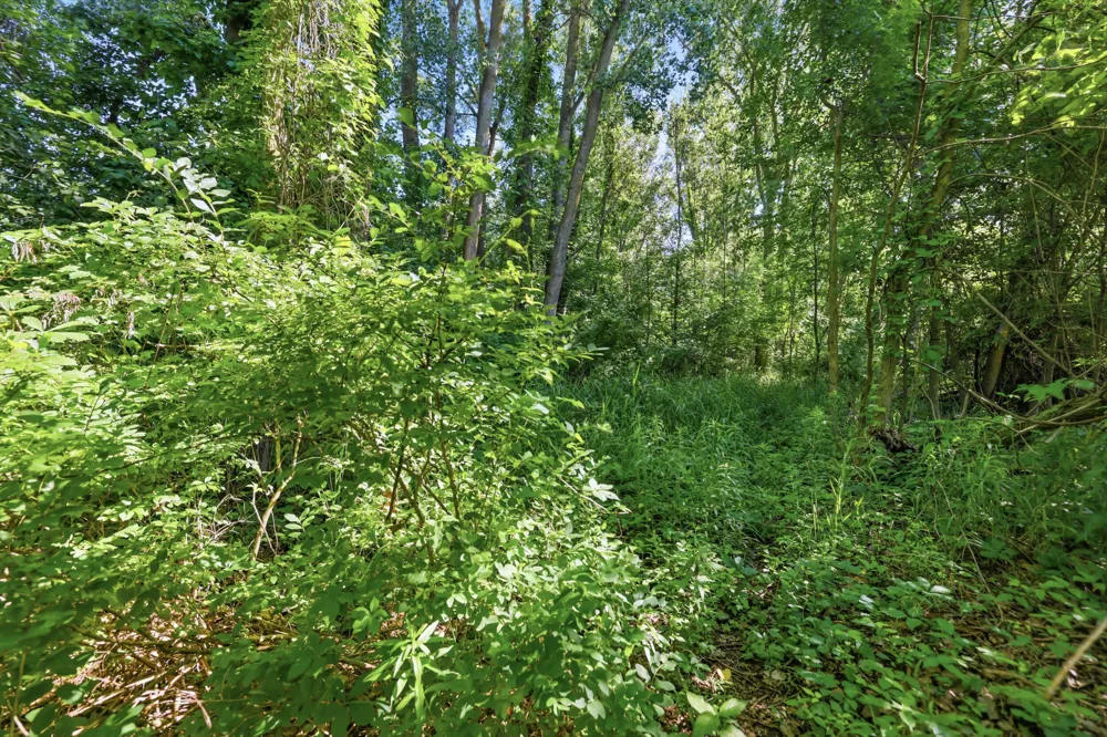 40th Avenue Hudsonville, MI 49426