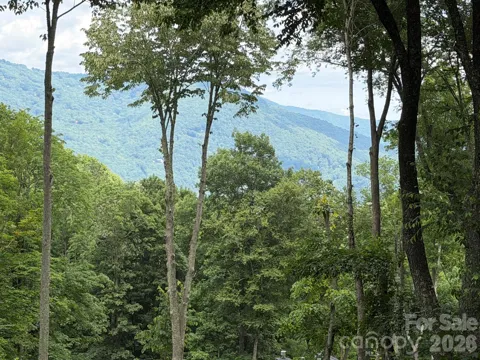 Lot 5 Gadohi Trail #5