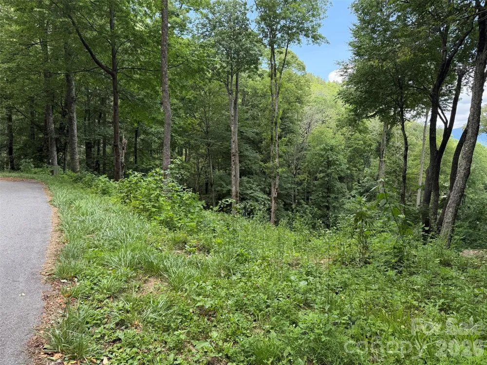 Lot 5 Gadohi Trail #5 Maggie Valley, NC 28751