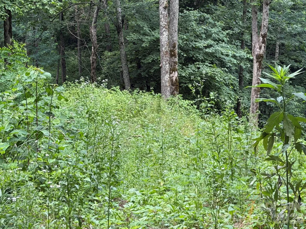 Lot 5 Gadohi Trail #5 Maggie Valley, NC 28751