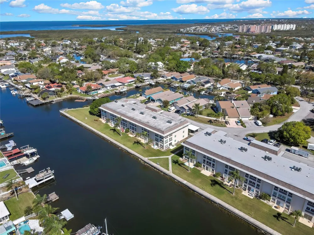 4452 GARNET DRIVE #203 New Port Richey, FL 34652