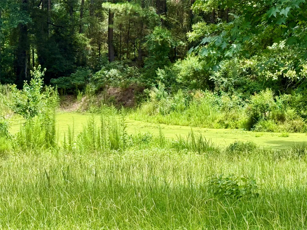257 Bacle Road Coushatta, LA 71019