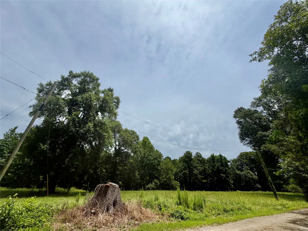 257 Bacle Road Coushatta, LA 71019