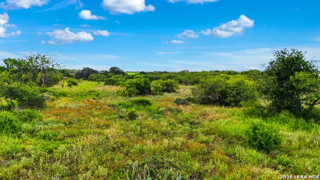 18291 LUCKEY RD Atascosa, TX 78002
