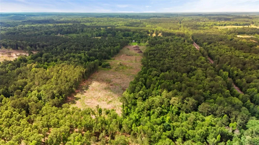 County Road 3993 Bloomburg, TX 75556