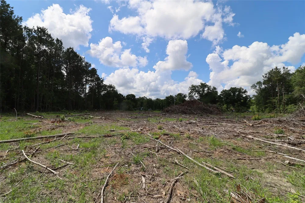 County Road 3993 Bloomburg, TX 75556