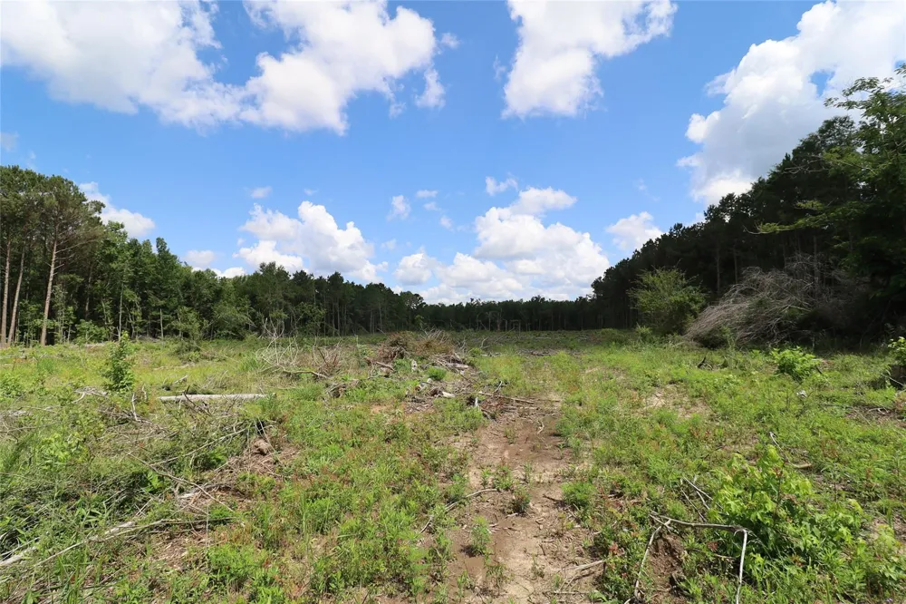 County Road 3993 Bloomburg, TX 75556