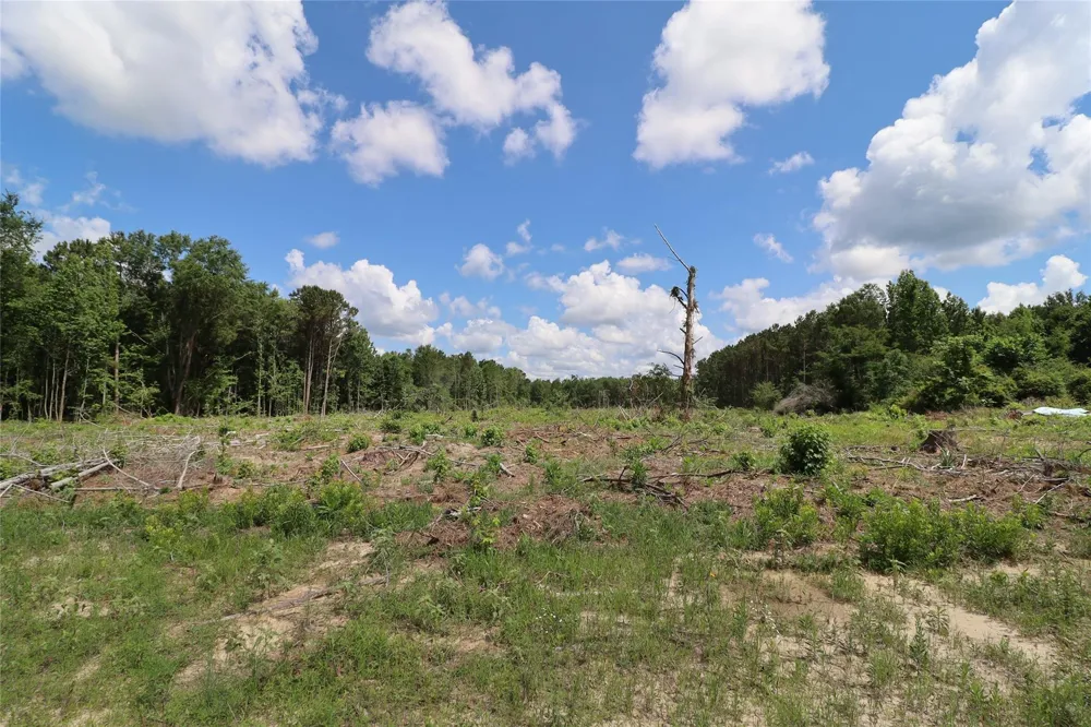 County Road 3993 Bloomburg, TX 75556