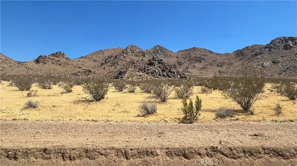 30455 Holmes Rd Lucerne Valley, CA 92356