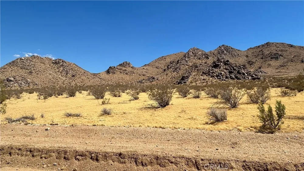 30455 Holmes Rd Lucerne Valley, CA 92356