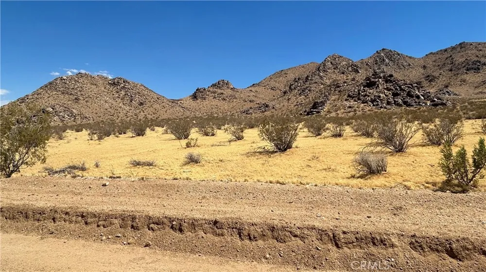30455 Holmes Rd Lucerne Valley, CA 92356