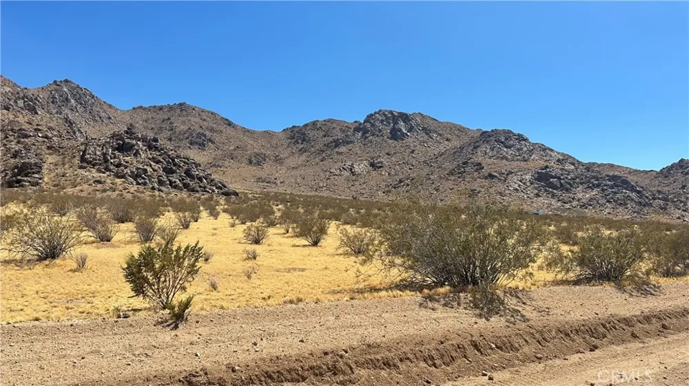 30455 Holmes Rd Lucerne Valley, CA 92356