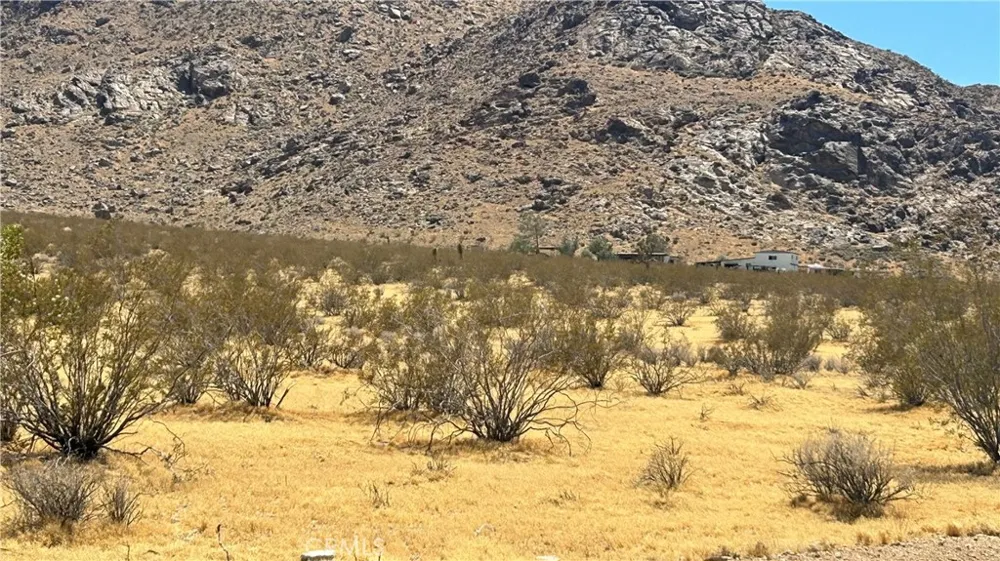 30455 Holmes Rd Lucerne Valley, CA 92356