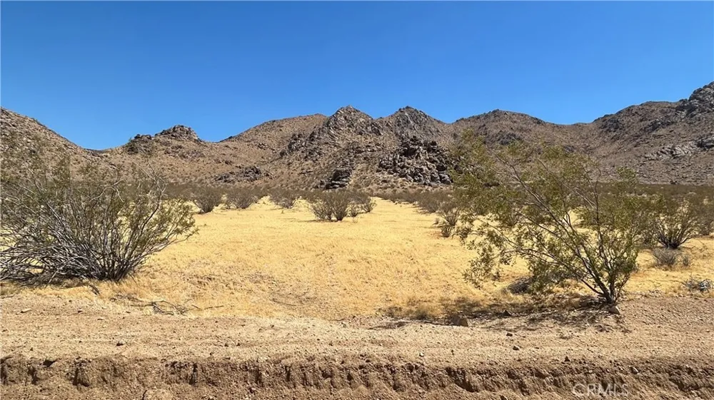 30455 Holmes Rd Lucerne Valley, CA 92356