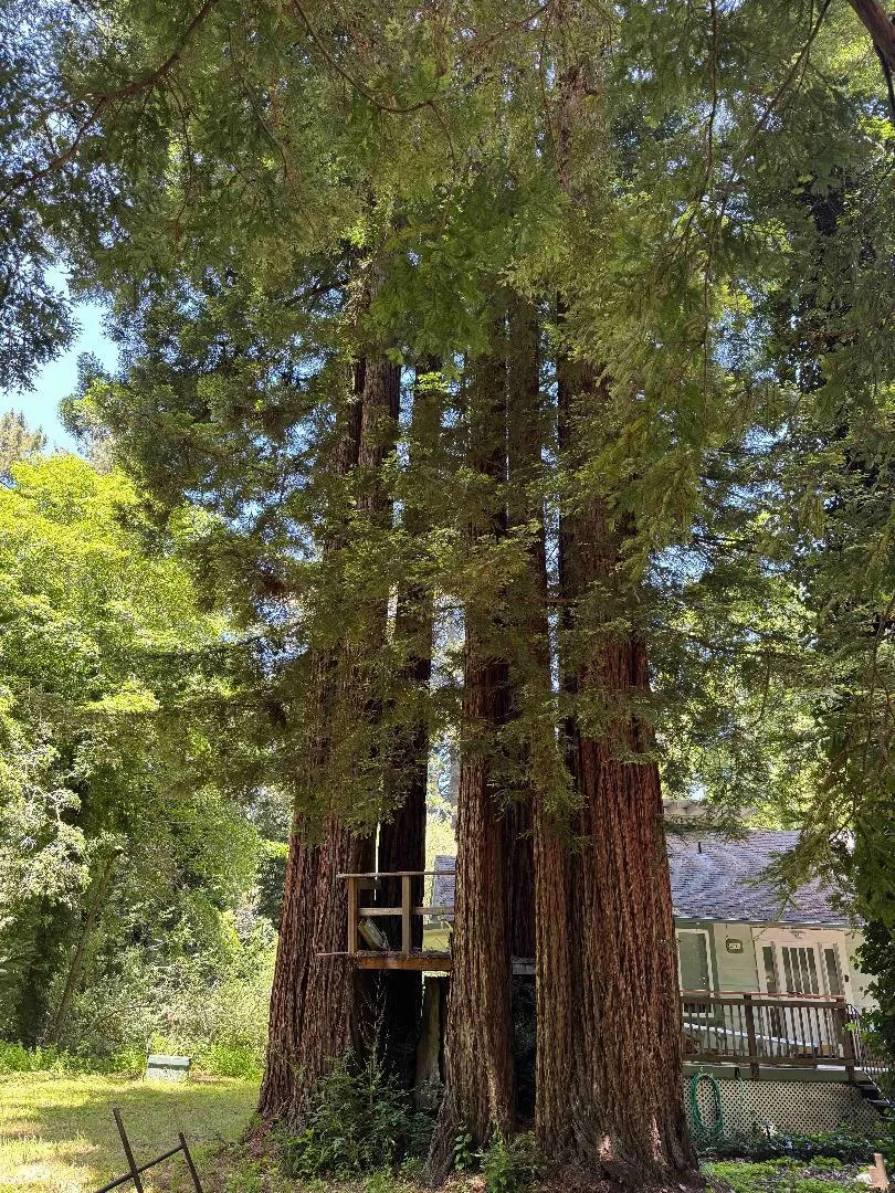 6975 La Honda Road La Honda, CA 94020