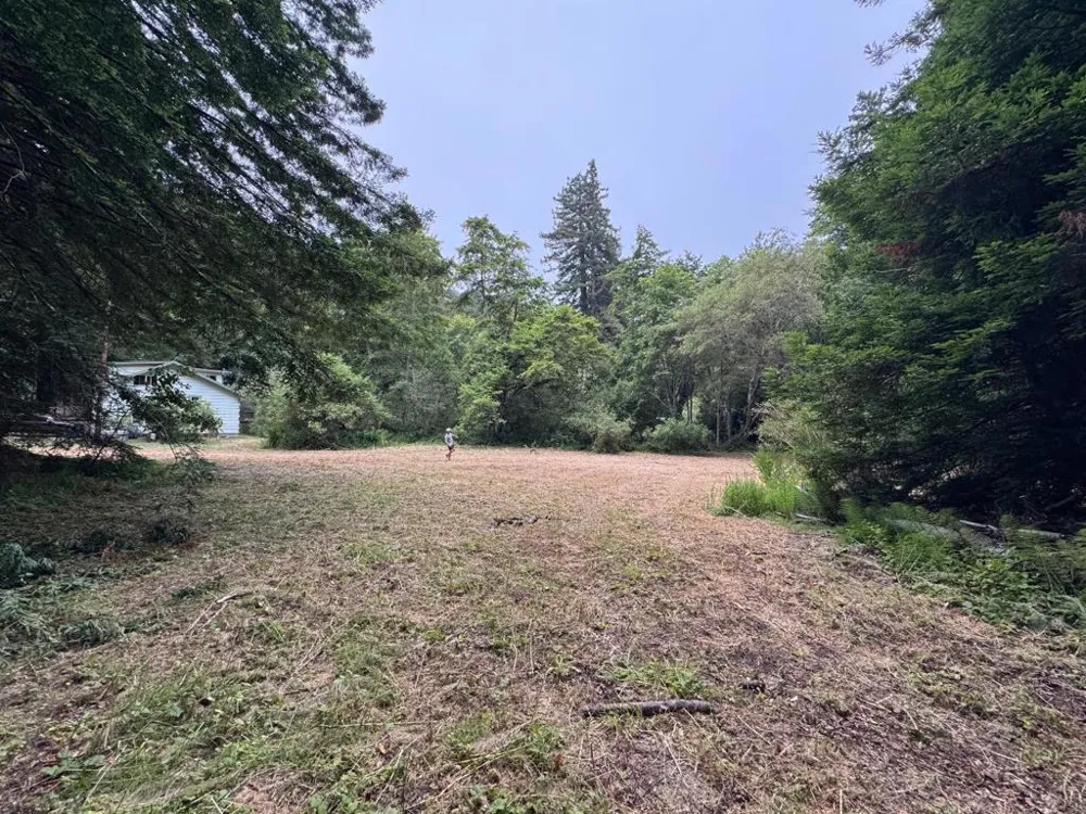 6975 La Honda Road La Honda, CA 94020