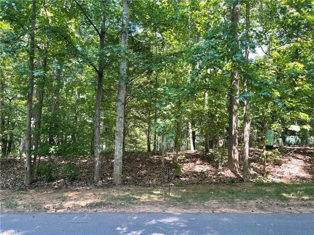 196 Larkspur Lane Lexington, NC 27292