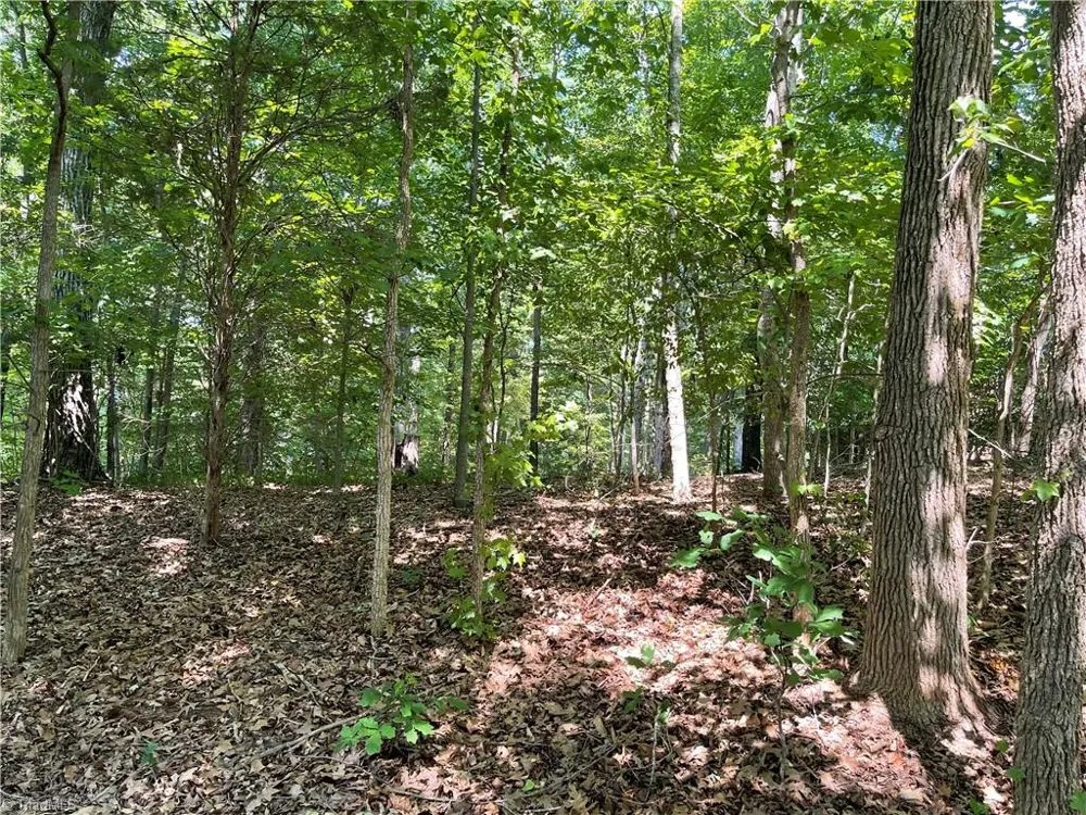 196 Larkspur Lane Lexington, NC 27292