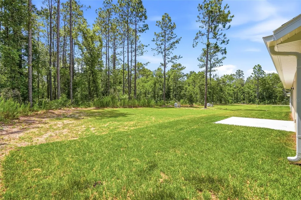 16325 FORCE ROAD Brooksville, FL 34614