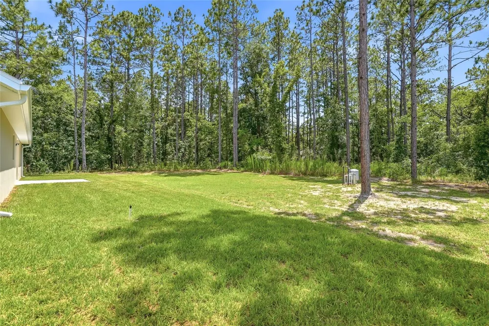 16325 FORCE ROAD Brooksville, FL 34614