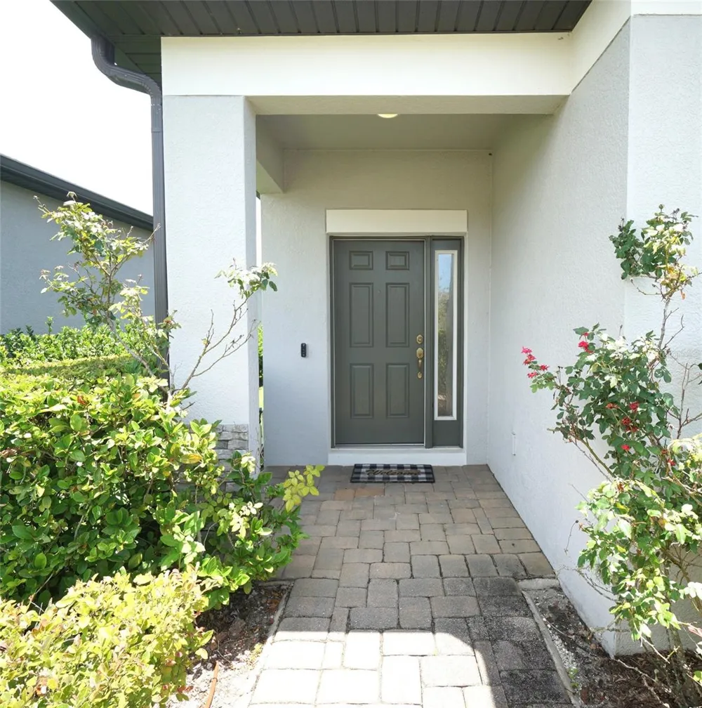 19460 BLOSSOM VINE LANE Lutz, FL 33558