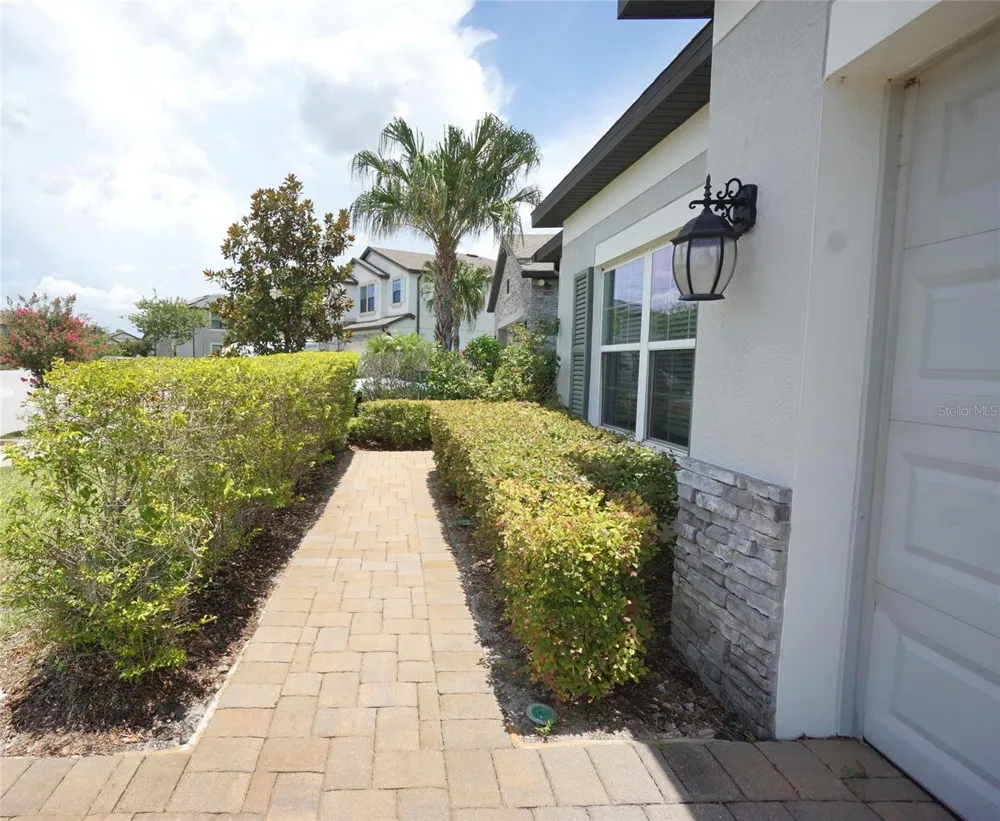 19460 BLOSSOM VINE LANE Lutz, FL 33558