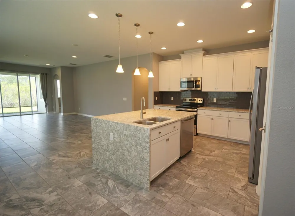 19460 BLOSSOM VINE LANE Lutz, FL 33558
