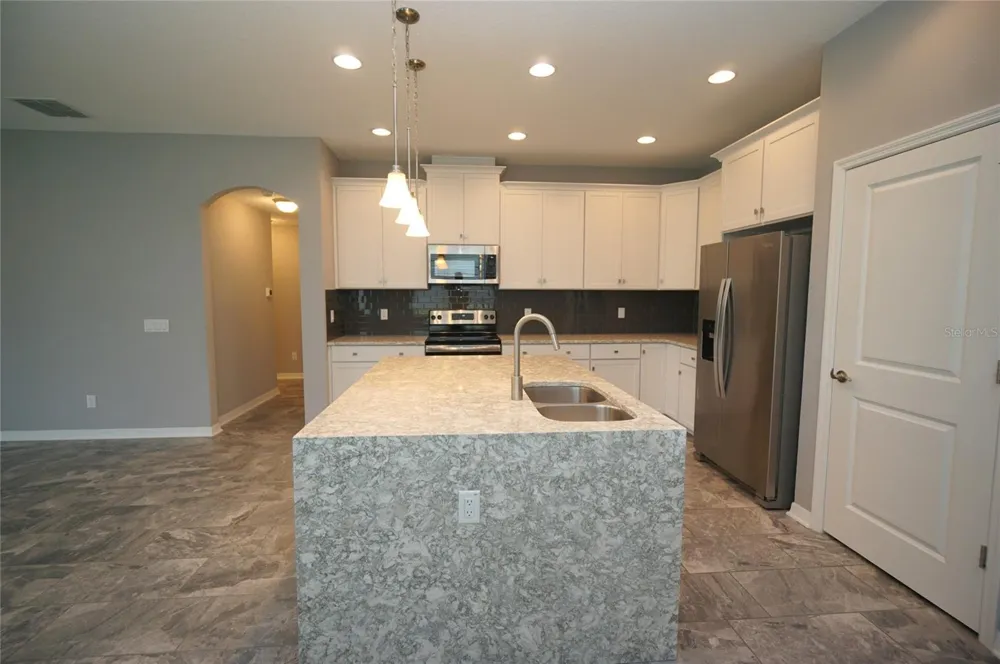 19460 BLOSSOM VINE LANE Lutz, FL 33558