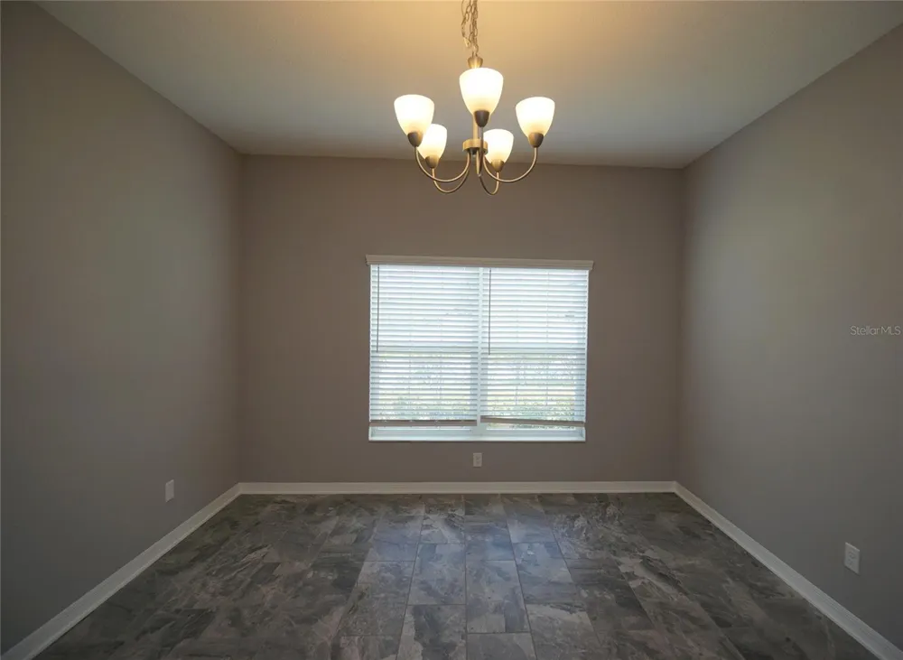 19460 BLOSSOM VINE LANE Lutz, FL 33558