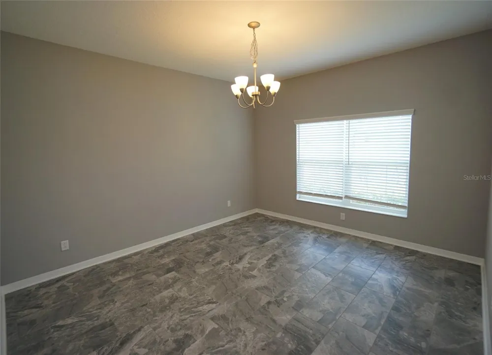 19460 BLOSSOM VINE LANE Lutz, FL 33558
