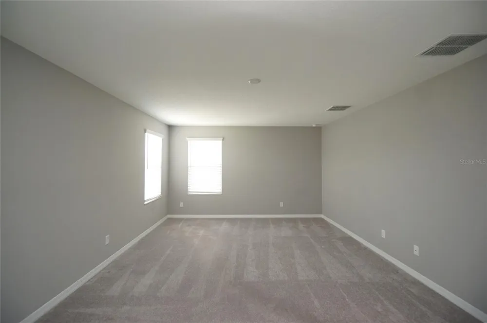 19460 BLOSSOM VINE LANE Lutz, FL 33558