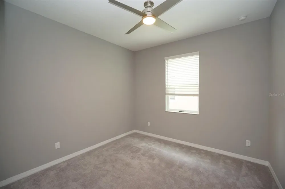 19460 BLOSSOM VINE LANE Lutz, FL 33558