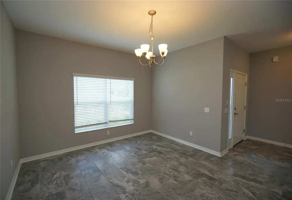 19460 BLOSSOM VINE LANE Lutz, FL 33558