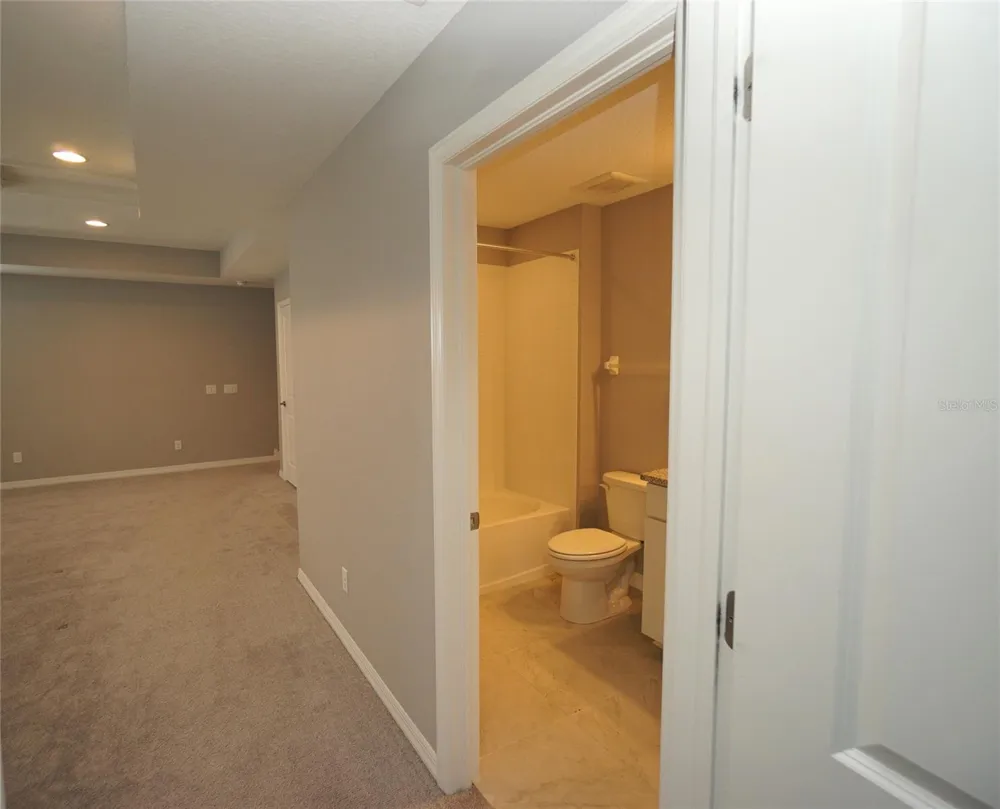 19460 BLOSSOM VINE LANE Lutz, FL 33558