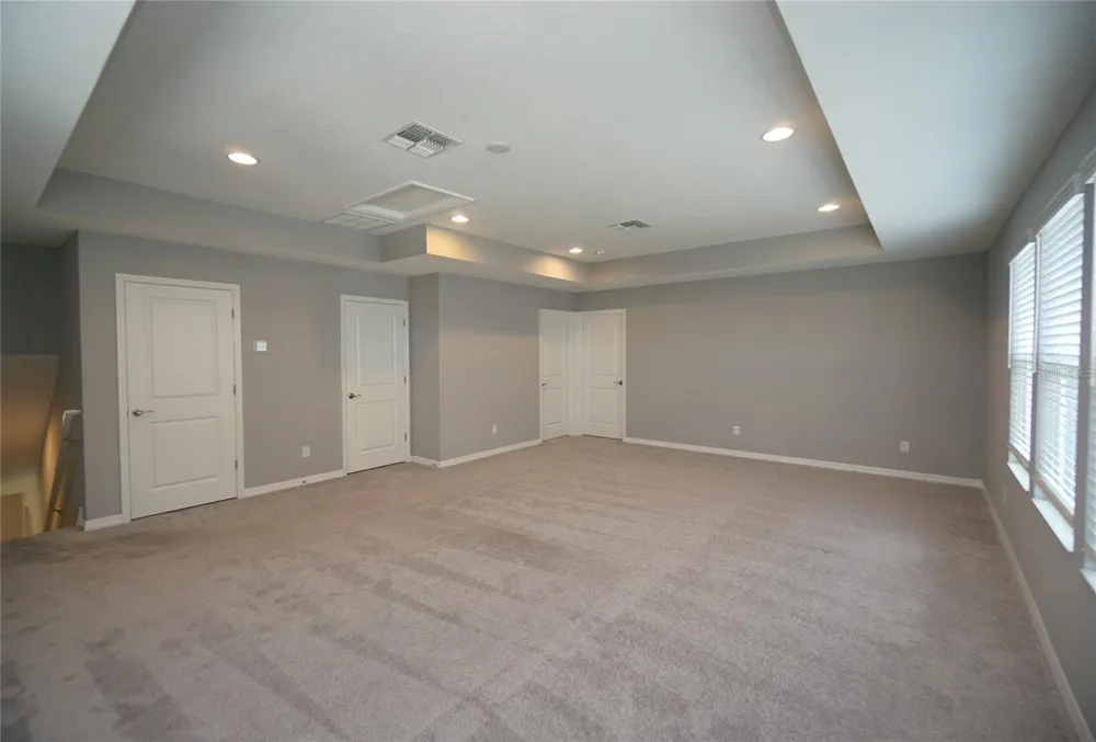 19460 BLOSSOM VINE LANE Lutz, FL 33558
