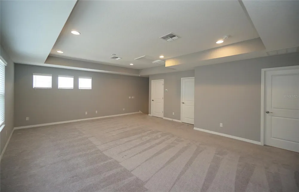 19460 BLOSSOM VINE LANE Lutz, FL 33558