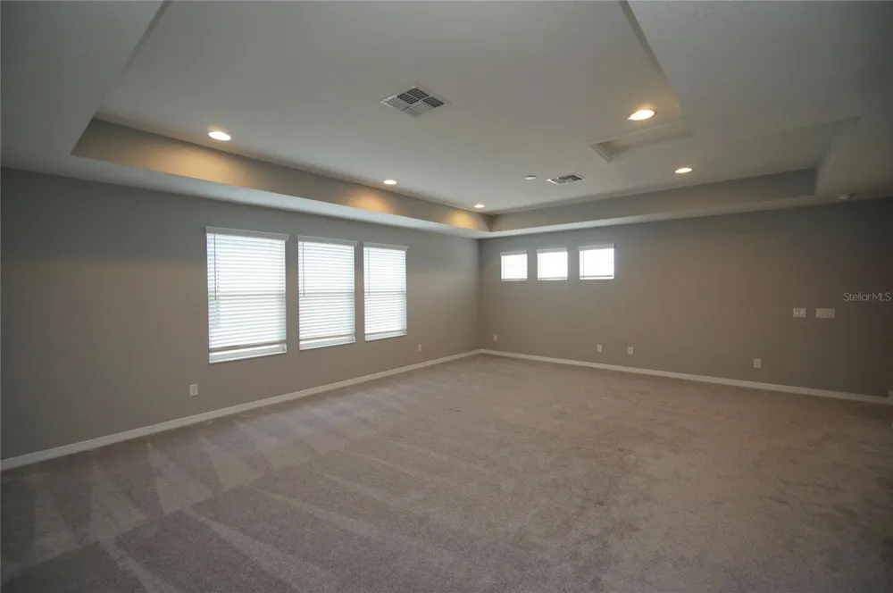 19460 BLOSSOM VINE LANE Lutz, FL 33558