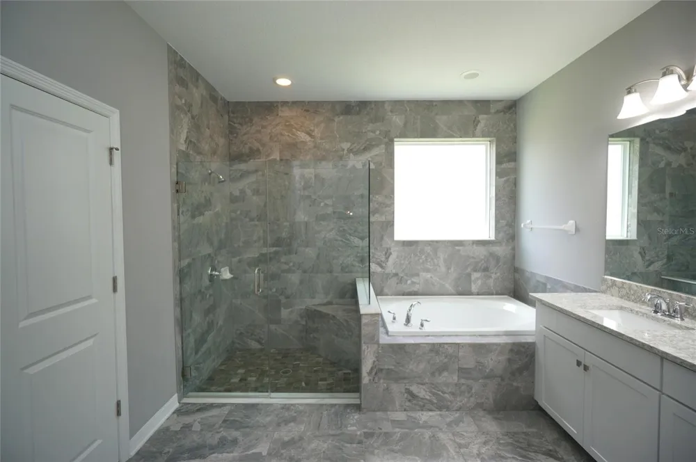 19460 BLOSSOM VINE LANE Lutz, FL 33558