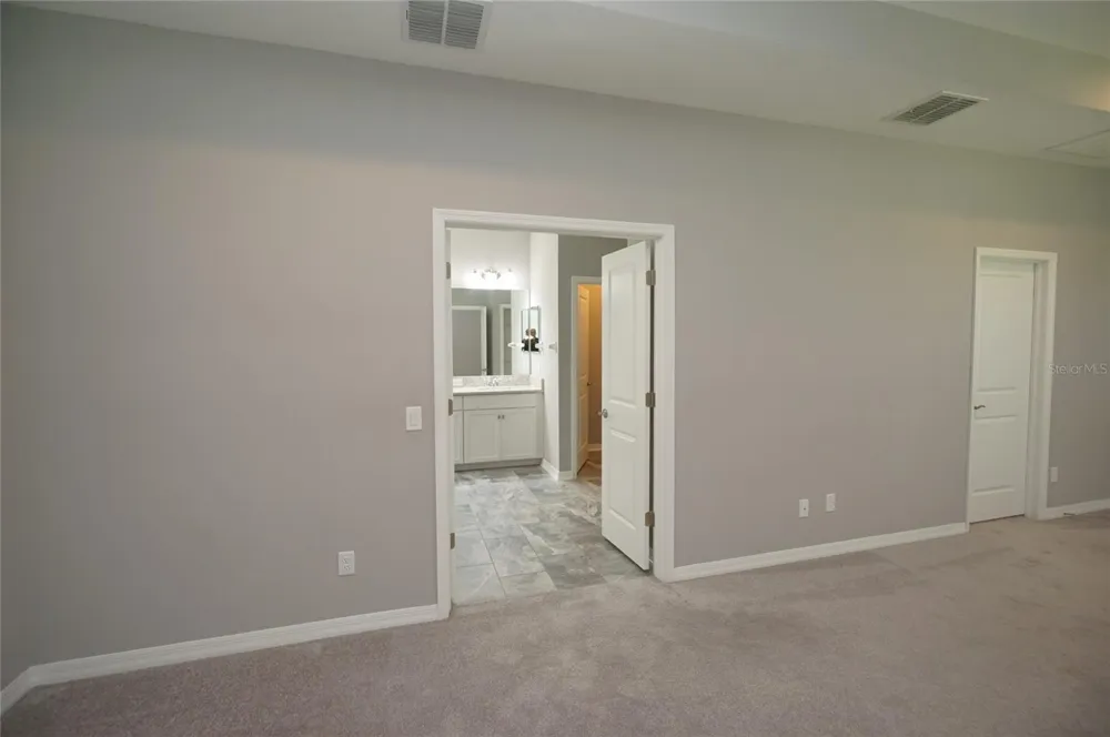 19460 BLOSSOM VINE LANE Lutz, FL 33558
