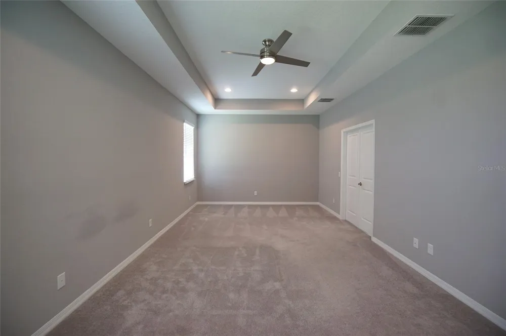 19460 BLOSSOM VINE LANE Lutz, FL 33558
