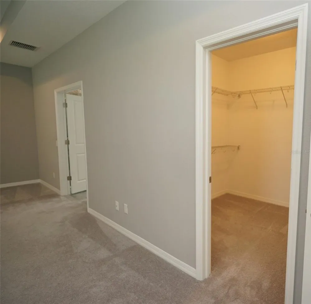 19460 BLOSSOM VINE LANE Lutz, FL 33558