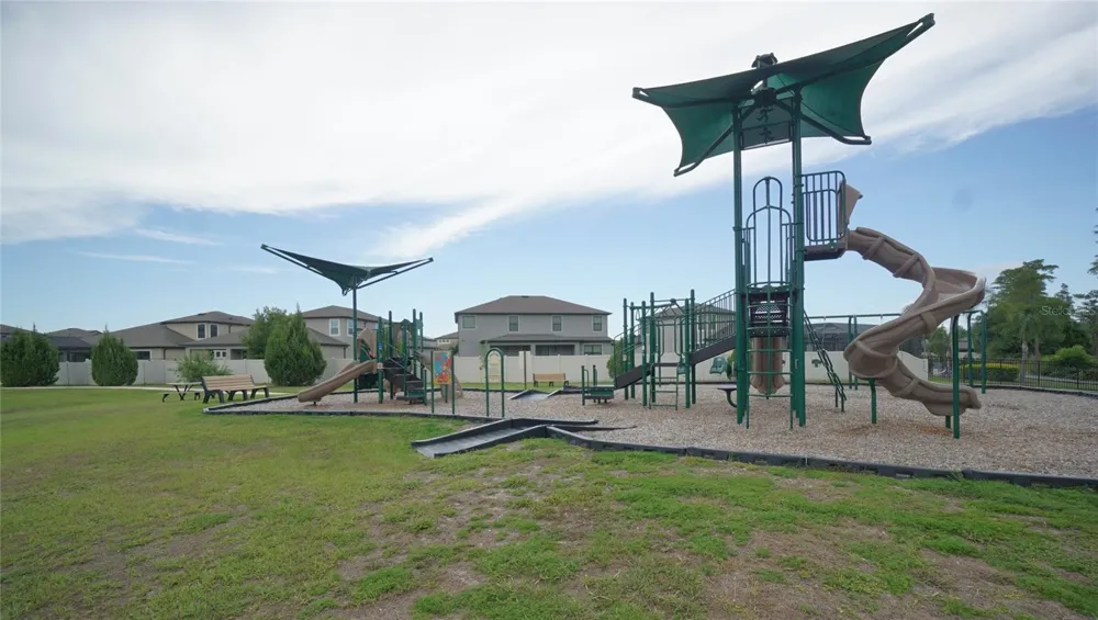 19460 BLOSSOM VINE LANE Lutz, FL 33558