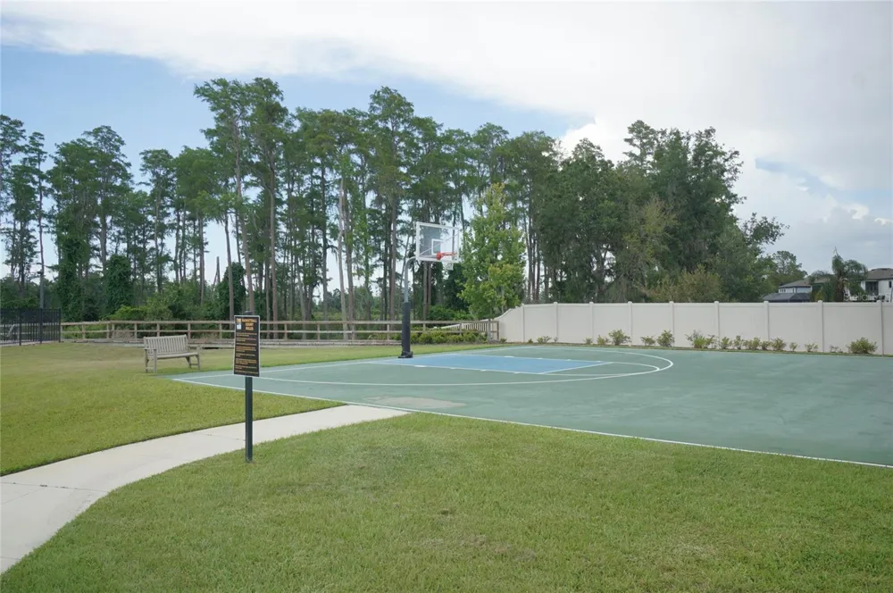 19460 BLOSSOM VINE LANE Lutz, FL 33558